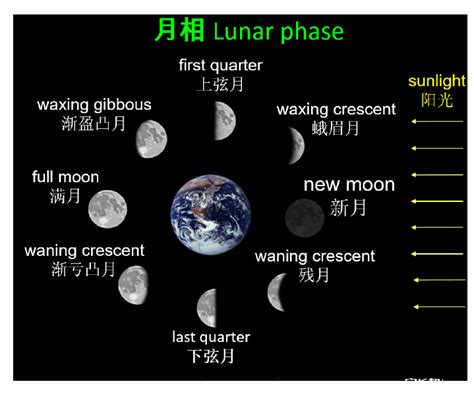 金星的意思|金星的解释